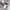 Marvel Raglan 3/4 Big Logo Back Print photo 6