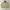 Vtg DAIWA Harrington Jacket photo 1