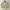 Vtg DAIWA Harrington Jacket photo 2