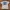 T-Shirt In-N-Out Burger  photo 1