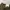 1944’s WWII US Military “Korean War” Wool Pants photo 5