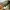 VINTAGE 90'S LIGHTNING BOLT CARGO LINE photo 4