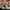 MAISON MARGIELA X SUPREME HOODIE - GREEN photo 6