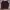 Jacket Montbell Goose Lightweight Padding 95 photo 2