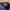 Topi Richardson Initial PM size L photo 9