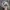 Topi aop fitted size L brand 7 union photo 4