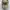 New Era 39THIRTY Philadelphia Eagles Camo Realtree Hat photo 1