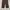 Item(s) : 3second x Kick Avenue Carpenter Double Knee Brown  photo 5