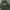 Dickies Streetwear Skater Hoody Pria green photo 1