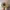 Filson Tin Cloth Parker Hat photo 3