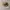 Filson Tin Cloth Parker Hat photo 1