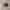 Filson Tin Cloth Parker Hat