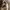 Filson Tin Cloth Parker Hat photo 4