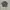 ECKO UNLTD Streetwear Y2K Casual shirt Pria multicolor brown photo 1