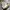 Alexander McQueen Vintage Luxury Sneakers Pria silver white photo 2
