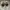 Alexander McQueen Vintage Luxury Sneakers Pria silver white photo 5