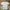SuperDry Box Logo T-Shirt