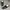 Vision Street Wear Streetwear Skater Casual shoe Pria white black photo 1