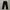 Straight Black Jeans Petite Wanita photo 1