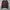 Adidas Neo Long Sleeve photo 1
