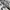 Back number japan Trouser photo 5