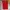 Dickies Streetwear Short Pria red photo 1