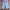Jorts j3co photo 1