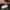 Celana Ballon Pants Frizmworks photo 6