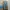 PROBAN TRADEMARK Korea Sage Canvas Loose Worka Pants photo 3