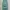 PROBAN TRADEMARK Korea Sage Canvas Loose Worka Pants photo 1