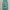 PROBAN TRADEMARK Korea Sage Canvas Loose Worka Pants