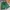 Gucci Luxury Short Pria green black photo 3