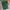 Gucci Luxury Short Pria green black photo 2