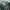 Gucci Luxury Short Pria green black photo 5