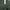Emerald Forest Velvet Retro Flare Pants photo 8