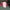 Emerald Forest Velvet Retro Flare Pants photo 5