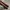 COWBOY BOOTS TEXAS photo 3