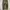 Hhkkeeip Camo Realtree Baggy Jeans photo 1