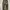 Hhkkeeip Camo Realtree Baggy Jeans