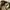 Uniform Bridge Fatigue Pants photo 6