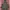Y2k Adolfo dominiguez fur parka jacket photo 1
