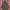 Y2k Adolfo dominiguez fur parka jacket photo 7