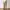 Uniform Bridge Fatigue Pants photo 2