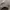 CA cap (cotton on) photo 3