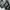 ZARA Streetwear Luxury Bomber jacket Wanita gray photo 2