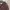 Abercormbie y2k heavy canvas lined sherpa jacket photo 3
