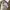 ZARA Luxury Minimalist Leather jacket Wanita tan cream photo 4