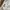 ZARA Luxury Minimalist Leather jacket Wanita tan cream photo 3