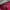 KATE SPADE TOTE BAG photo 8