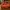 SISLEY LEATHER BAG NO TALPAN photo 6